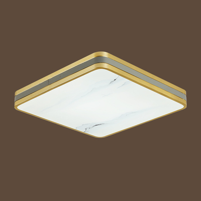 3036-48-48-6-120W-iron-acrylic