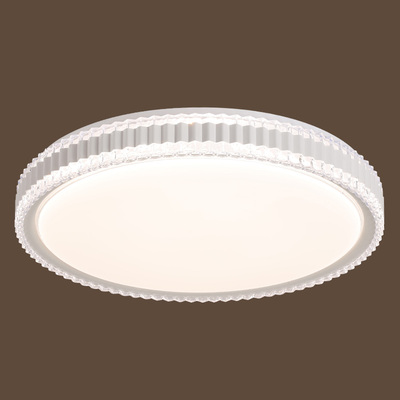 2880-2 96W Iron+PVC 500mm