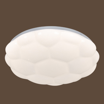 2869-3 96W Iron+PVC 500mm