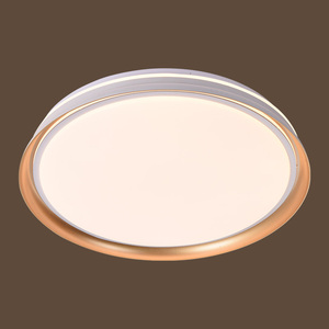 2976-1 72W Iron+PC 500mm