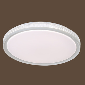 2875-2 96W Iron+PVC 500mm