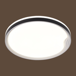 2977-1 72W Iron+PC 500mm