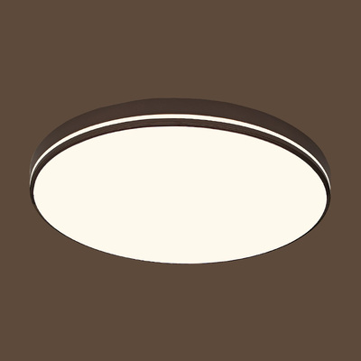 2872-1 96W Iron+PVC 500mm