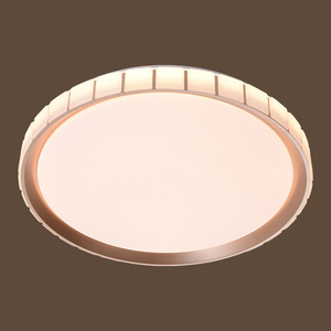2973-3 72W Iron+PC 500mm