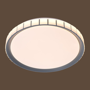 2973-1 72W Iron+PC 500mm