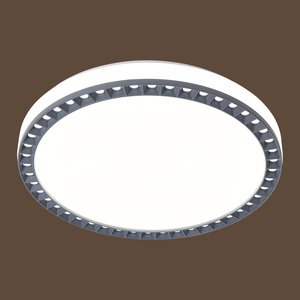 2974-2 72W Iron+PC 500mm