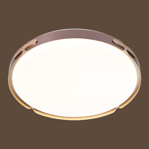 2971-2 72W Iron+PC 500mm