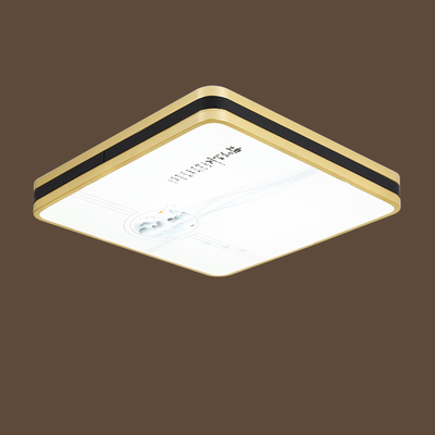 3035-48-48-6-120W-iron-acrylic